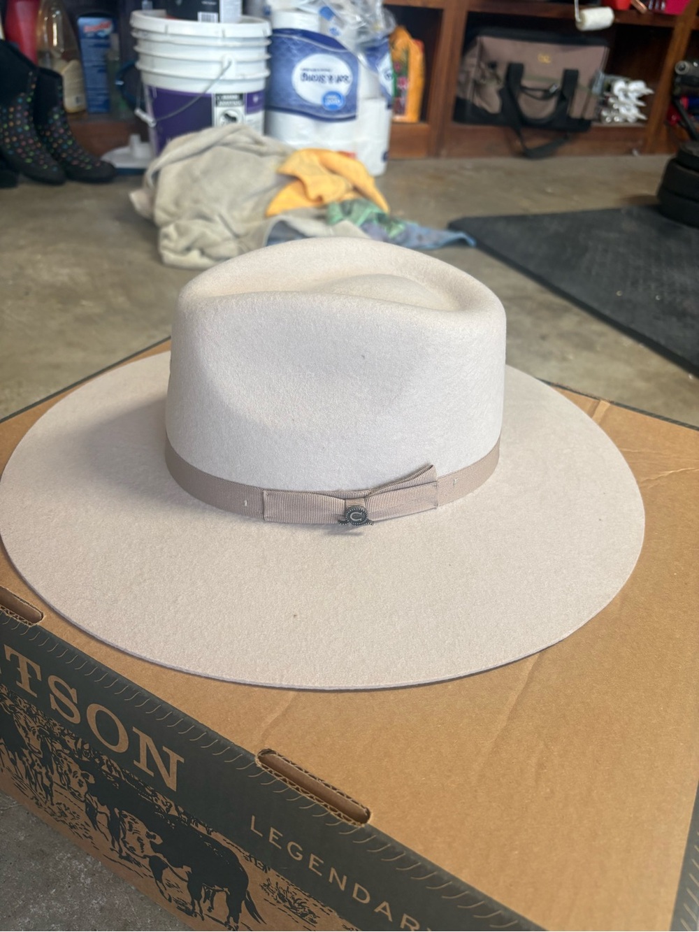 Charlie 1 Horse Women's Wide Brim Felt hat - Light Taupe. Like new.